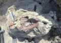 Scientists discover new dinosaur in Argentina with crocodile bone in mouth | Science, Climate & Tech News