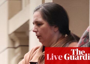 Australia news live: Erin Patterson to appeal convictions; ADF joins search for missing four-year-old in SA | Australia news