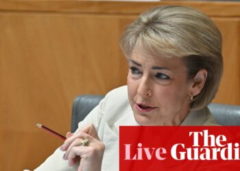 Australia news live: Cash calls on PM to condemn Chinese jet incident; Barnaby Joyce quizzed on One Nation move | Australia news