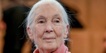 Renowned Primatologist Jane Goodall Dead At 91