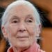 Renowned Primatologist Jane Goodall Dead At 91
