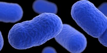 Sprouts Farmers Market Recalls This Dish Due To Listeria Concerns