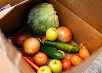 U.S. Food Banks Brace For Surge As Shutdown Threatens Benefits