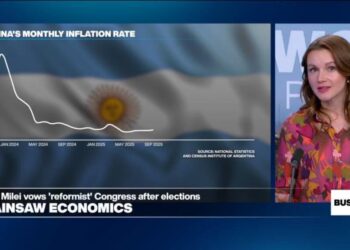 Argentina midterm elections seen as confidence vote for Milei's economic refoms