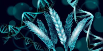 Scientists Just Found a Tiny Genetic Switch That Could Feed Billions