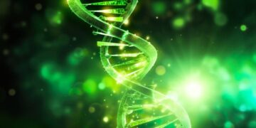 Scientists Use “Supercentenarian Longevity Gene” to Slow Rapid Aging Disease