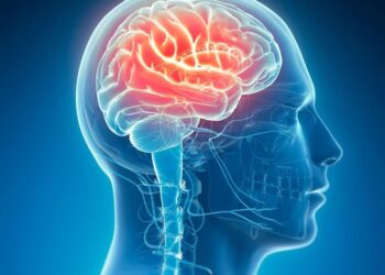 Our Brains Evolved Thanks to… Lead? New Study Surprises Scientists