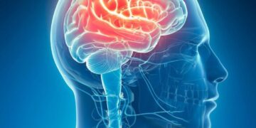 Our Brains Evolved Thanks to… Lead? New Study Surprises Scientists