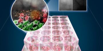 New Light-Based Therapy Kills 92% of Skin Cancer Cells Without Harming Healthy Tissue