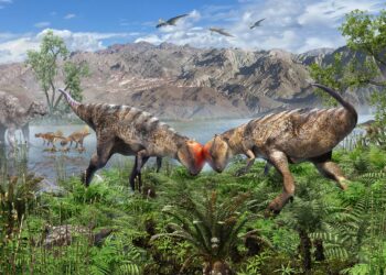 Scientists Just Found the Oldest Dome-Head Dinosaur Ever
