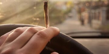 Over 40% of Fatal Crash Drivers Had THC in Their Blood – Far Above Legal Limits