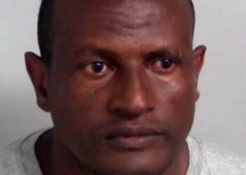 David Lammy blames ‘human error’ for release of migrant sex offender – as confirms independent investigation | Politics News