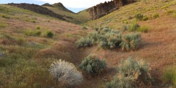 US government takes equity stake in one of the world’s largest lithium mines