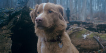 An Indie Horror Legend Has A Creepy Cameo In Good Boy