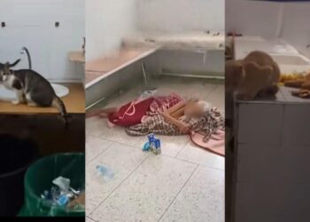 Shortages, sanitation issues and corruption: Morocco’s public hospitals at a breaking point