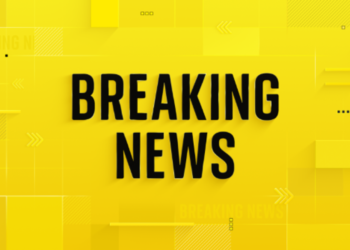 Police van ablaze and bottles thrown at officers as protests flare outside Dublin asylum hotel | World News