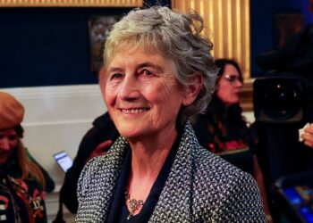 A landslide victory in a lacklustre presidential election that wounds the Irish government | World News