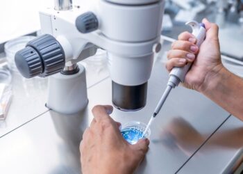 Eggs fertilised with material from human skin cells for first time | Science, Climate & Tech News