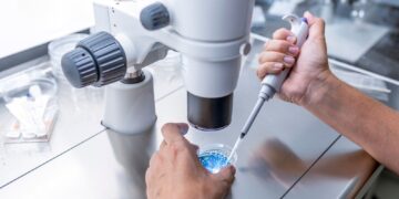 Eggs fertilised with material from human skin cells for first time | Science, Climate & Tech News