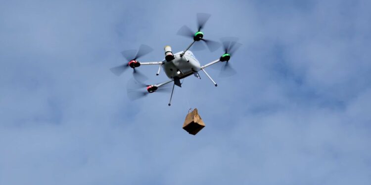 As food delivery drones take off in Ireland, here are the most popular items | World News