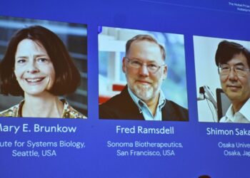 Medicine Nobel Prize rewards peripheral immune tolerance research : NPR