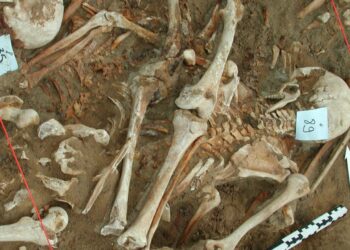 What killed Napoleon’s army? Scientists find clues in DNA from fallen soldiers’ teeth : Shots