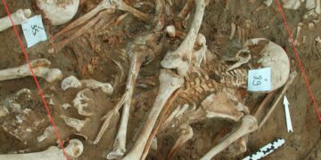 What killed Napoleon’s army? Scientists find clues in DNA from fallen soldiers’ teeth : Shots