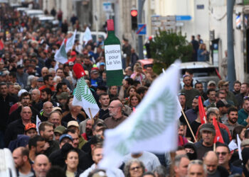 Tariffs, climate change, energy prices… tough times for France's winemakers