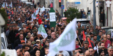 Tariffs, climate change, energy prices… tough times for France's winemakers