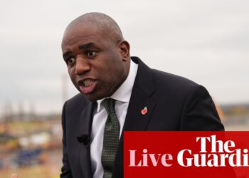 Lammy says he was not ‘equipped with the details’ when facing questions on mistaken prisoner release at PMQs – UK politics live | Politics