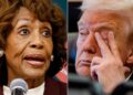 Rep. Maxine Waters Shakes Up Hearing With Her Absolutely Damning Description Of Trump
