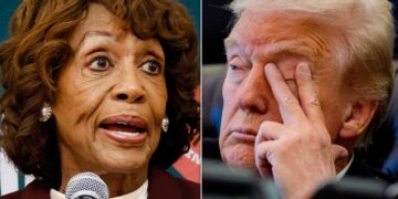 Rep. Maxine Waters Shakes Up Hearing With Her Absolutely Damning Description Of Trump
