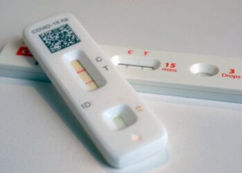 Bird Flu Could Mutate Into Pandemic Worse Than COVID, Warns Leading French Scientist