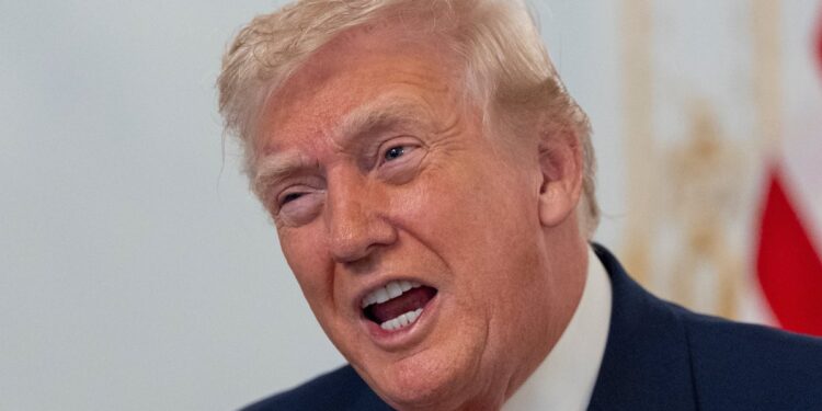 Critics Roast Trump After His New Brag About His Favorite Thing