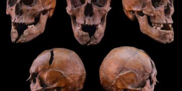 Archaeologists Solve 700-Year-Old Mystery of Murdered Hungarian Duke