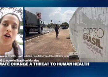 'Health is the face of climate change': how can cities mitigate the impact of global warming