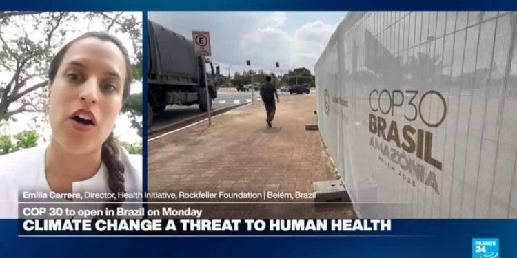 'Health is the face of climate change': how can cities mitigate the impact of global warming