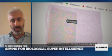 As Europe aims for 'digital sovereignty', biomedical agentic AI could be the next big field