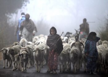 The Women Carrying Water—and the World