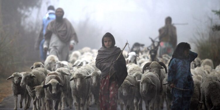The Women Carrying Water—and the World