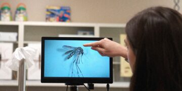 An Invasive Disease-Carrying Mosquito Has Spread to the Rocky Mountains