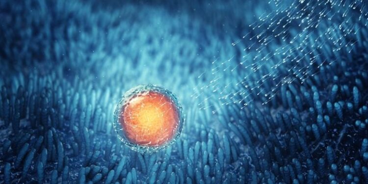 New Study Suggests That an Ancient Chinese Herbal Remedy Could Improve Fertility