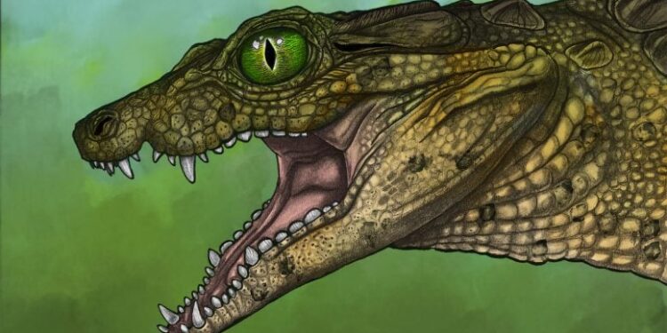 Tiny 95-Million-Year-Old Croc Relative Baffles Scientists With Its Strange Teeth