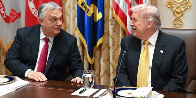 Orban Showers Trump With Praise to Avoid U.S. Sanctions