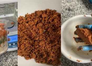 This Sunflower-Based Protein Could Be the Future of Vegan Meat Alternatives