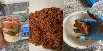 This Sunflower-Based Protein Could Be the Future of Vegan Meat Alternatives