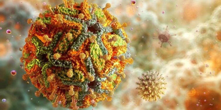 Scientists Solve Yellow Fever Mystery with Unprecedented High-Resolution 3D Images