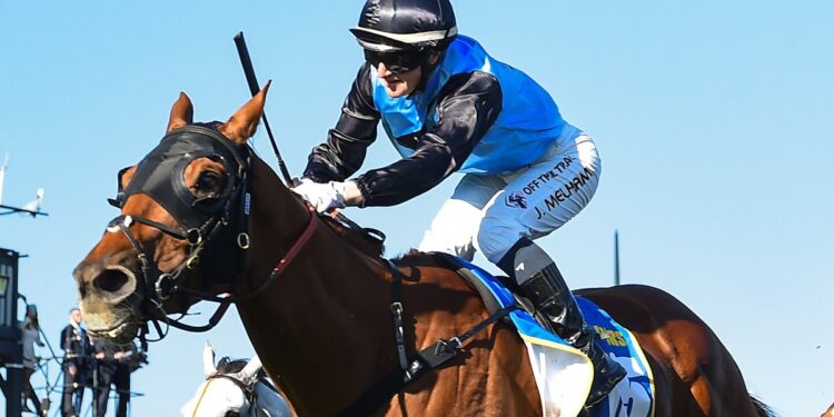 Why every horse can and can’t win the race