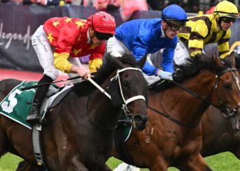 Form guide, field, tips and odds; David Gately tips Providence to beat odds-on favourite Observer