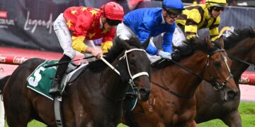 Form guide, field, tips and odds; David Gately tips Providence to beat odds-on favourite Observer